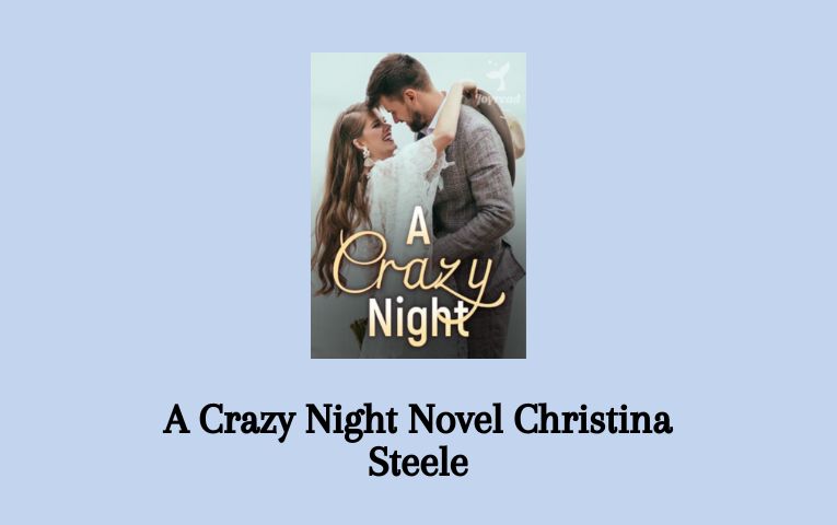 A Crazy Night Novel Christina Steele