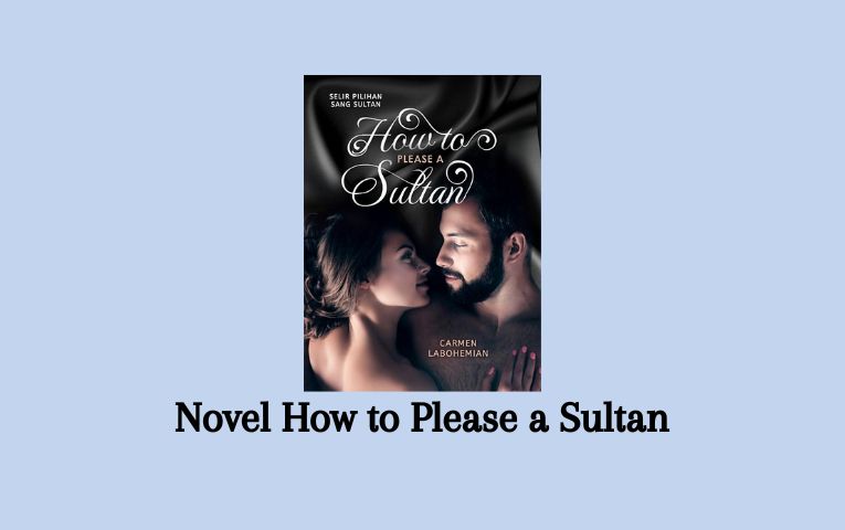 Novel How to Please a Sultan