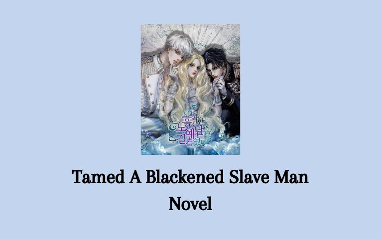 Tamed A Blackened Slave Man Novel