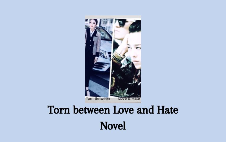 Torn between Love and Hate Novel