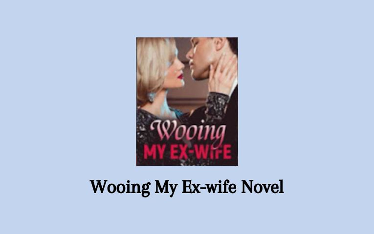 Wooing My Ex-wife Novel
