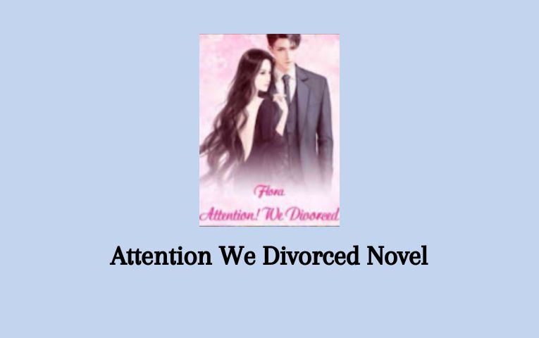 Attention We Divorced Novel
