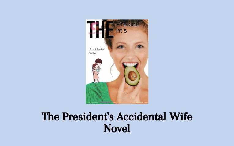 The President's Accidental Wife Novel