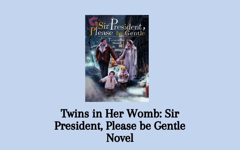 Twins in Her Womb: Sir President, Please be Gentle Novel