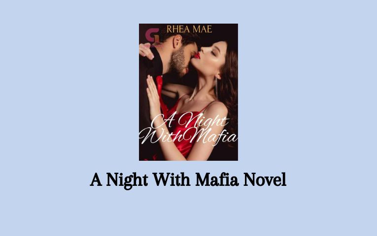 A Night With Mafia Novel