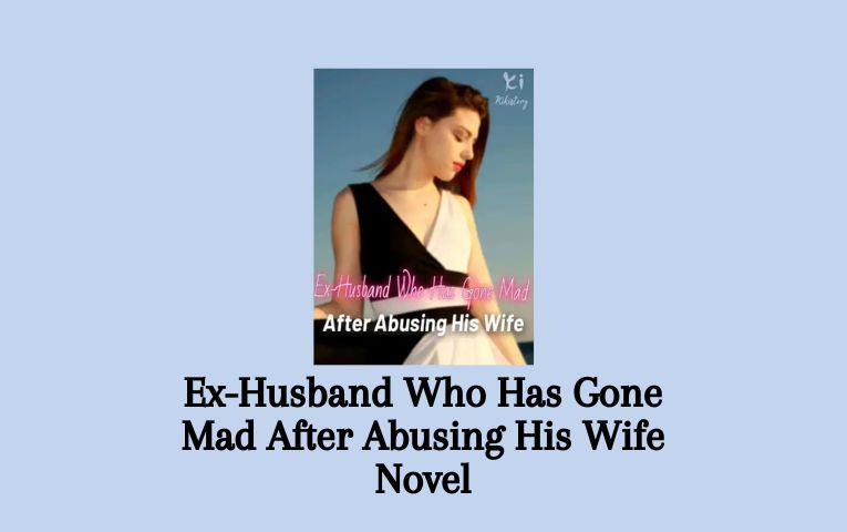 Ex-Husband Who Has Gone Mad After Abusing His Wife Novel