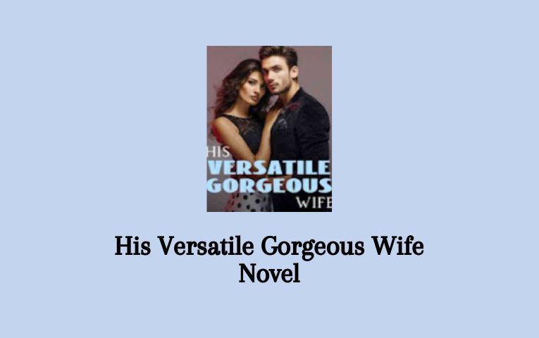 His Versatile Gorgeous Wife Novel