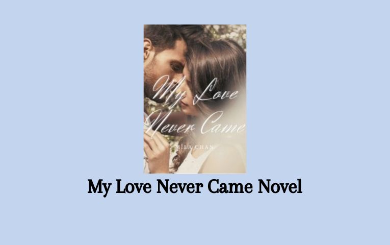 My Love Never Came Novel