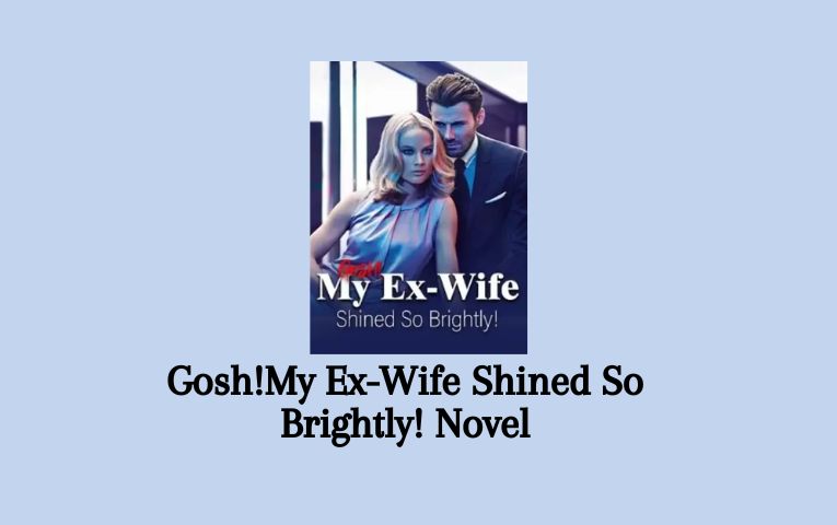 Gosh!My Ex-Wife Shined So Brightly! Novel