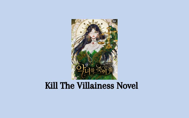 Kill The Villainess Novel