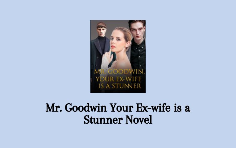 Mr. Goodwin Your Ex-wife is a Stunner Novel