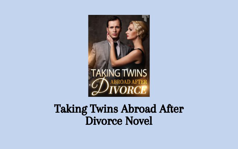 Taking Twins Abroad After Divorce Novel