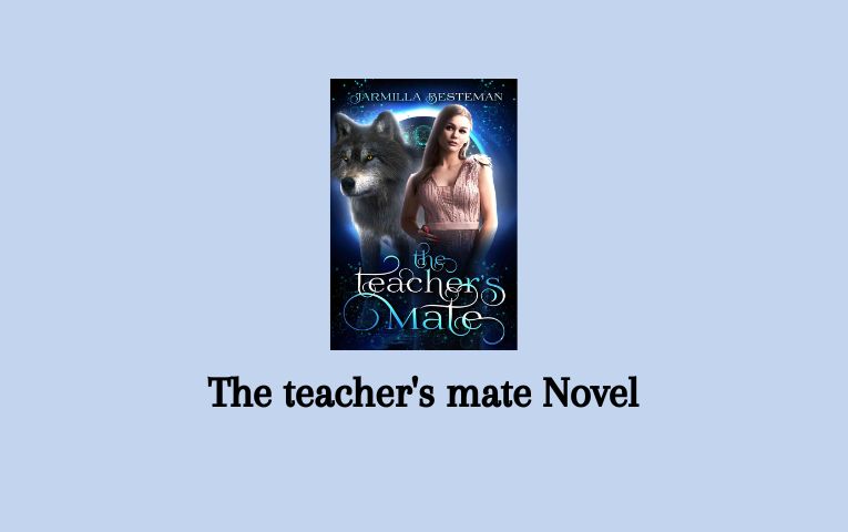 The teacher's mate Novel
