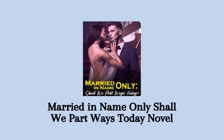 Married in Name Only Shall We Part Ways Today Novel