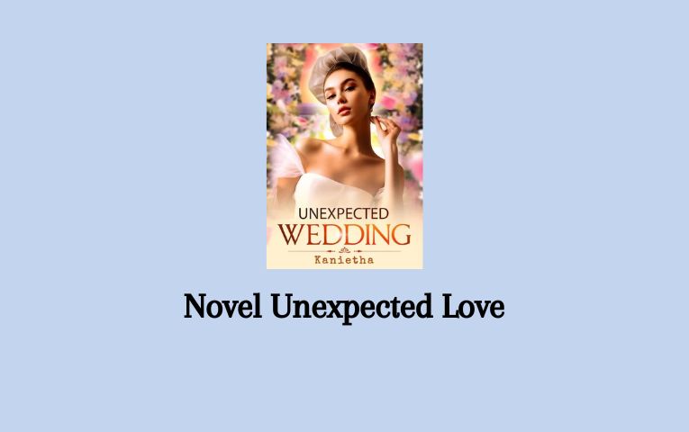 Novel Unexpected Love
