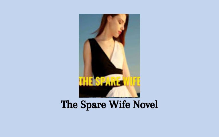 The Spare Wife Novel