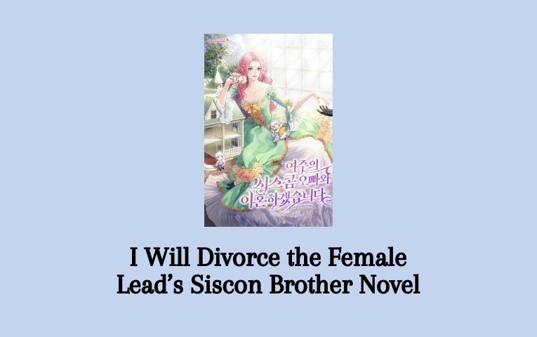 I Will Divorce the Female Lead’s Siscon Brother Novel
