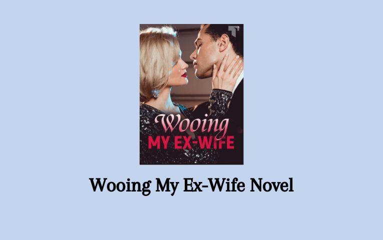 Wooing My Ex-Wife Novel