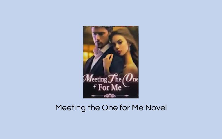 Meeting the One for Me Novel